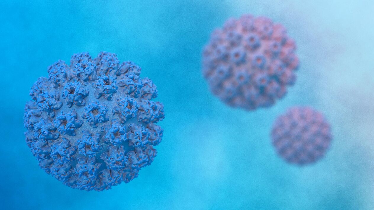 Papilomavirus